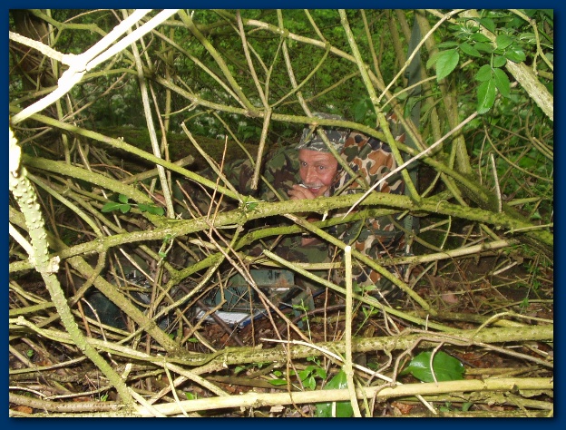 600x449 pixels (205K)